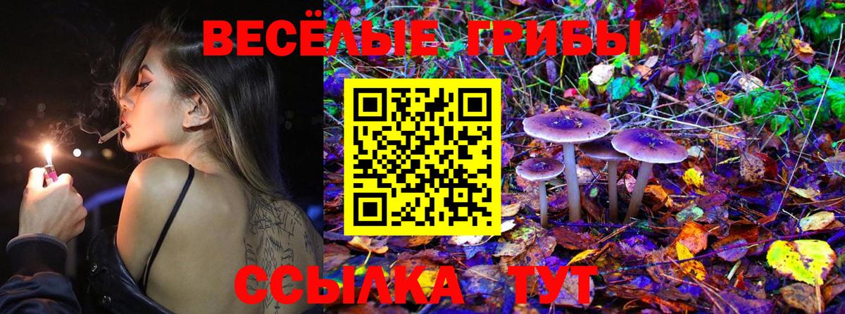 Галлюциногенные грибы GOLDEN TEACHER  Галлюциногенные грибы GOLDEN TEACHER  Южноуральск  Вход с VPN 